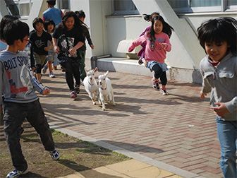 東戸山小学校1～2年生の活動