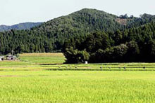 里地里山イメージ